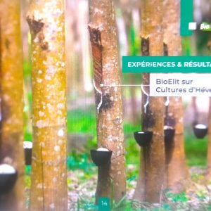 Insecticide liquide 100% Bio BIOELIT 1 litre – Type Hévéa