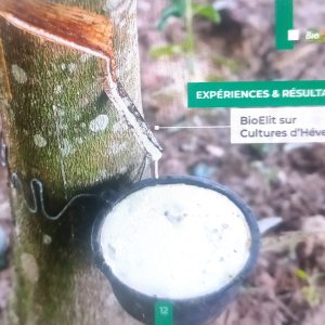 Bio-insecticide liquide BIOELIT 1 litre – Type Hévéa