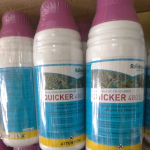 Régulateur de croissance liquide QUICKER 480 SL 1 litre – Ananas, canne à sucre, banane