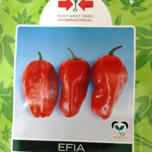 Semence de PIMENT EFIA 2,5 gr