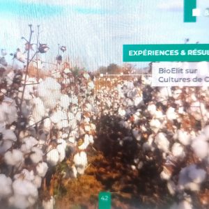 Bio-fongicide liquide BIOELIT 1 litre – Type Coton et Anacarde