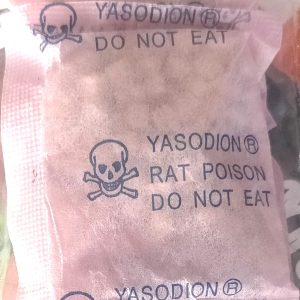 Raticide YASODION 10 gr – Domicile, entrepôt de stockage, bureau, magasin