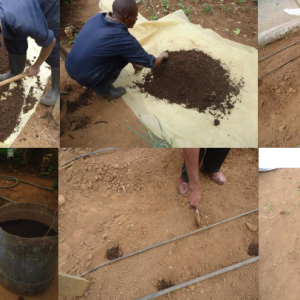 Engrais granulé Bio-organique BIODEPOSIT AGRO 10 kg – Toutes les cultures