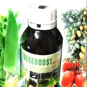 Engrais-fongicide foliaire biologique VEGEBOOST SIBRA 500 ml – Maïs, riz