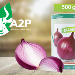 Semence d’OIGNON DJABA 500 gr