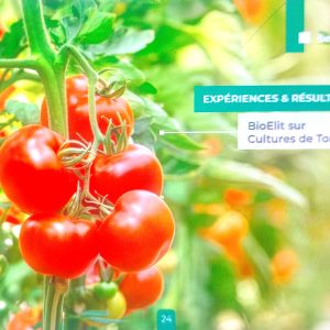 Insecticide liquide 100% Bio BIOELIT 1 litre – Concombre, chou, poivron, tomate