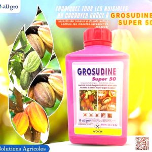 Insecticide liquide binaire GROSUDINE SUPER 50 1 litre – Cacao, café