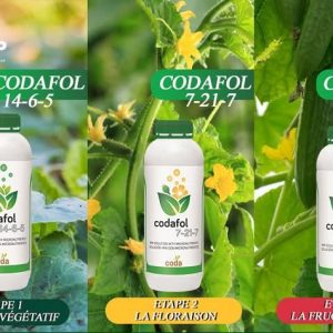 Engrais foliaire CODAFOL NPK 4 – 15 – 29 1 litre – Toutes les cultures