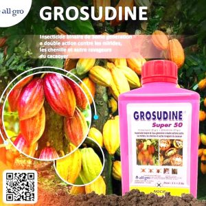 Insecticide liquide binaire GROSUDINE SUPER 50 1 litre – Cacao, café