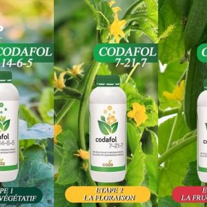 Engrais foliaire CODAFOL NPK 7-21-7 1 litre – Toutes les cultures