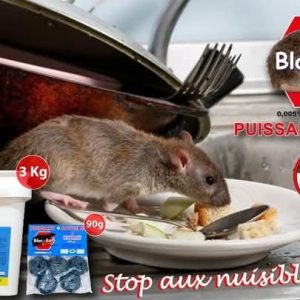 Anti-rats BLOC-RATS 3 kg – Domicile, bureau, hygiène publique