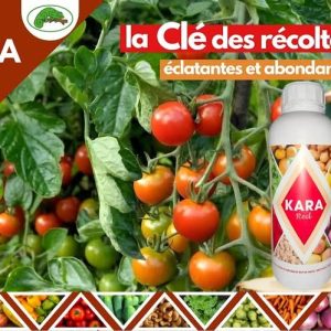 Engrais foliaire KARA RED 1 litre – Toutes les cultures