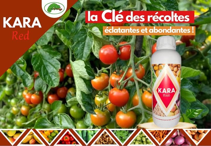 Engrais foliaire KARA RED 1 litre – Toutes les cultures