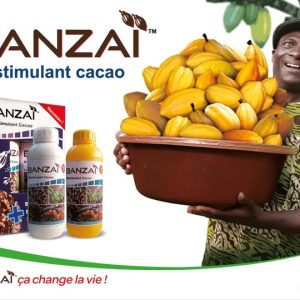 Biostimulant liquide BANZAI BONUS 1 litre (2 en 1) – Spécial cacao