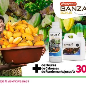Biostimulant liquide BANZAI BONUS 1 litre (2 en 1) – Spécial cacao