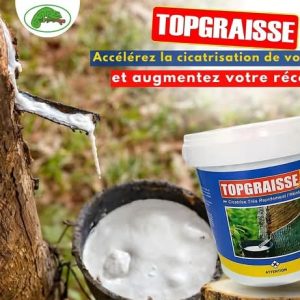 Cicatrisant TOPGRAISSE 1 kg – Hévéa