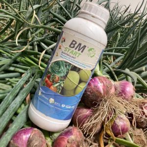 Biostimulant foliaire BM START 1 litre – Tomate