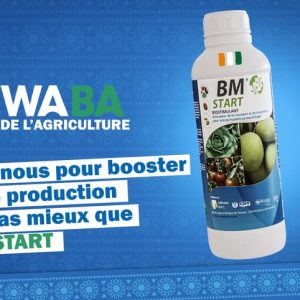 Biostimulant foliaire BM START 1 litre – Spécial cultures maraichères