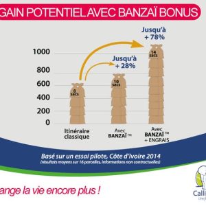 Biostimulant liquide BANZAI  BONUS 1 litre (2 en 1) – Spécial cacao