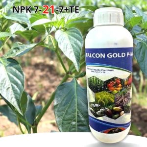 Engrais foliaire Premium FALCON-GOLD P-MAX 1 litre – Toutes les cultures