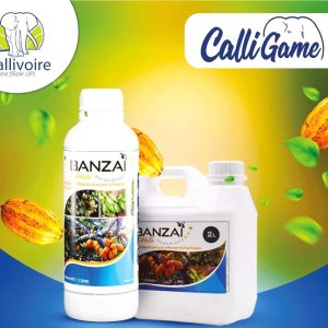 Biostimulant liquide BANZAI BONUS 5 litres – Spécial cacao