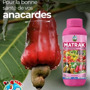 Insecticide liquide MATRAK 40 EC 1 litre – Anacarde, cacao, cultures maraichères