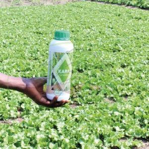 Engrais foliaire KARA GREEN 1 litre – Laitue, salade