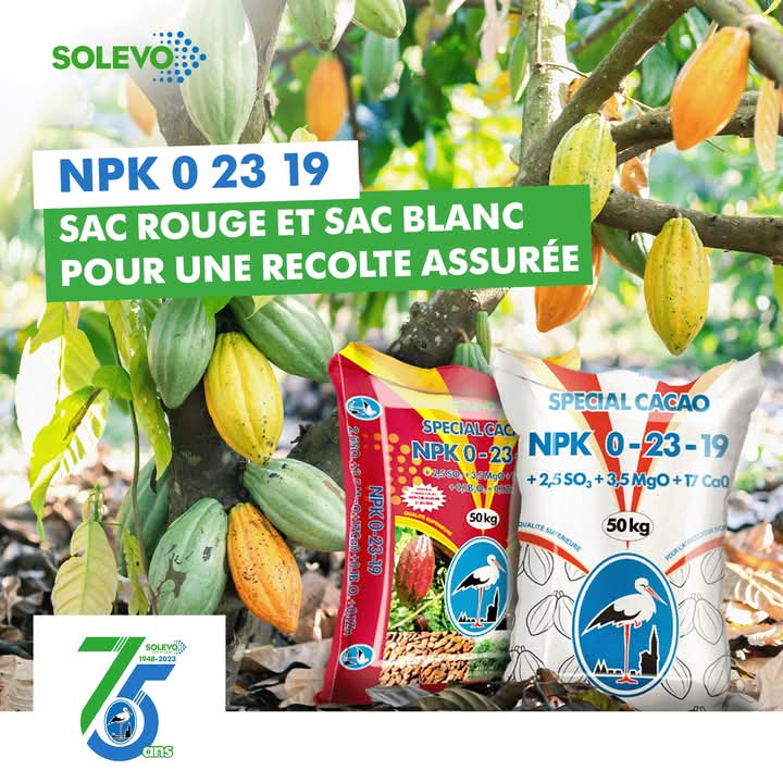 Engrais granulé NPK 0-23-19 50 kg – Spécial cacao