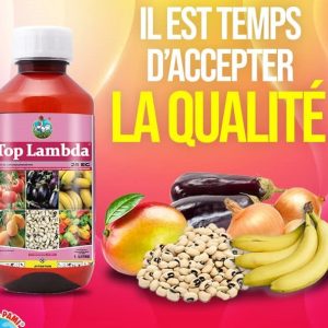 Insecticide liquide TOPLAMBDA 25 EC 1 litre – Cultures maraichères