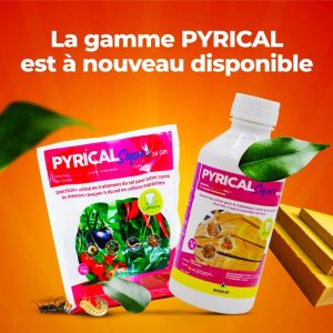 Insecticide liquide PYRICAL SUPER 100 EC 1 litre – Termites, insectes du bois