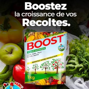 Engrais granulé potassique BOOST 1 kg – Toutes les cultures