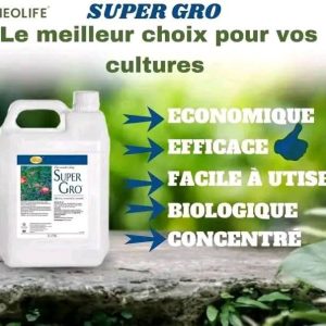 Engrais foliaire 100% Bio-agricole SUPER GRO 5 litres – Toutes les cultures