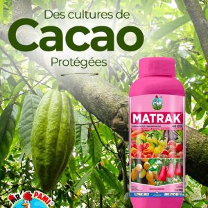 Insecticide liquide MATRAK 40 EC 1 litre – Anacarde, cacao, cultures maraichères
