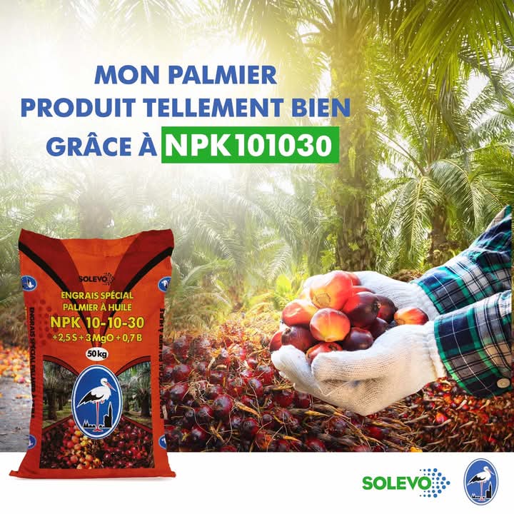 Engrais granulé NPK 10-10-30 50 kg – Spécial Palmier à huile