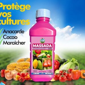 Insecticide liquide MASSADA 45 EC 1 litre – Anacarde, cacao, cultures maraichères