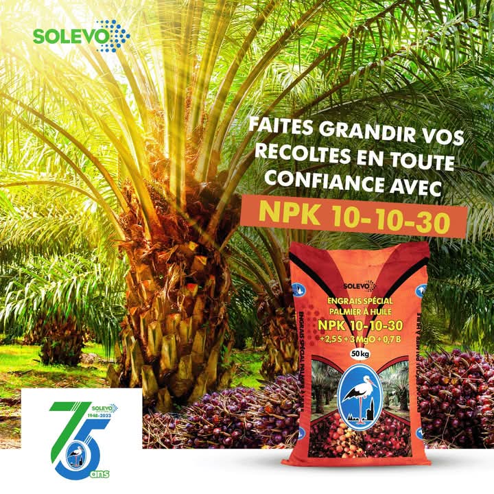 Engrais granulé NPK 10-10-30 50 kg – Spécial Palmier à huile