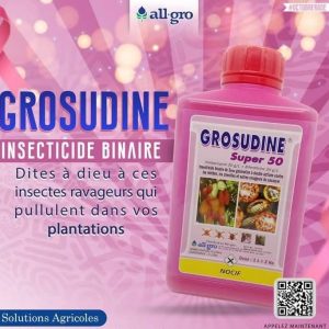 Insecticide liquide binaire GROSUDINE SUPER 50 1 litre – Cacao, café