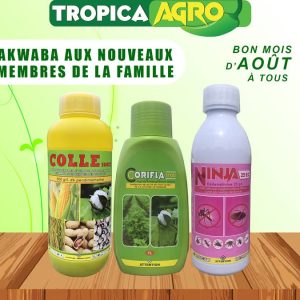 Insecticide liquide NINJA 25 EC 1 litre – Hygiène publique, domicile, bureau