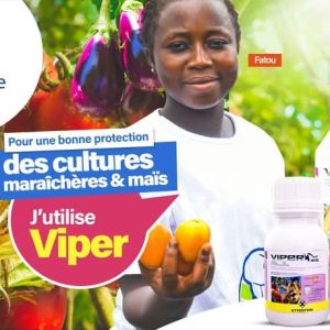 Insecticide liquide VIPER 46 EC 1 litre – Cultures maraichères
