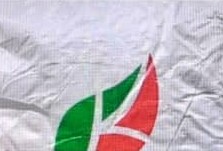 Nitrate de potassium (Ca(NO3)2) 25 kg – Toutes les cultures