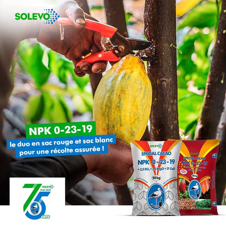 Engrais granulé NPK 0-23-19 50 kg – Spécial cacao
