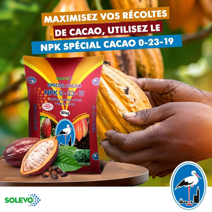 Engrais granulé NPK 0-23-19 50 kg – Spécial cacao