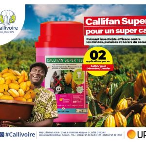 Insecticide liquide CALLIFAN SUPER 40 EC 1 litre – Spécial cacao