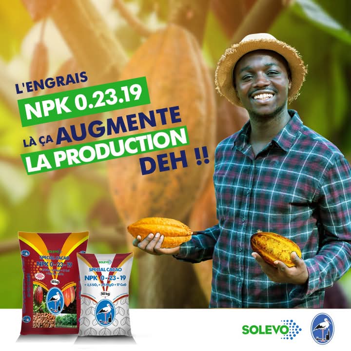 Engrais granulé NPK 0-23-19 50 kg – Spécial cacao