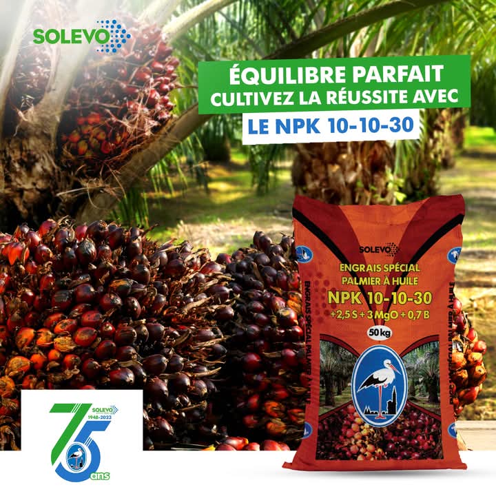 Engrais granulé NPK 10-10-30 50 kg – Spécial Palmier à huile