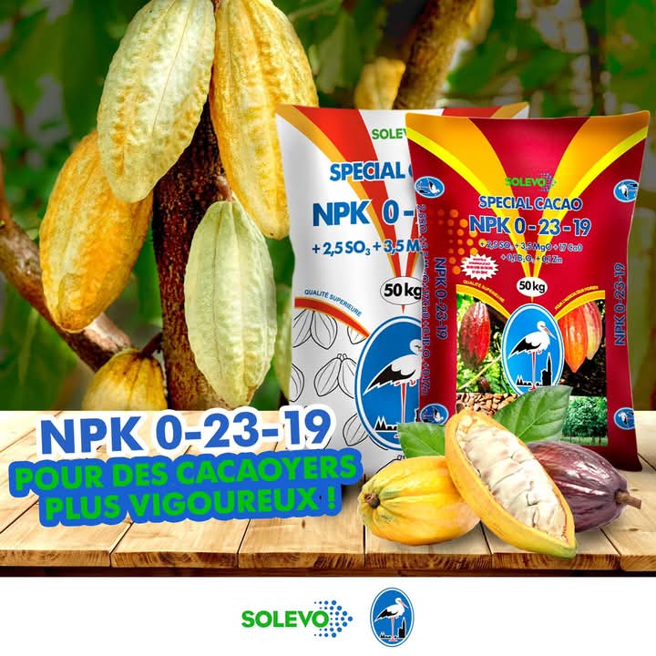 Engrais granulé NPK 0-23-19 50 kg – Spécial cacao
