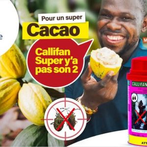 Insecticide liquide CALLIFAN SUPER 40 EC 1 litre – Spécial cacao