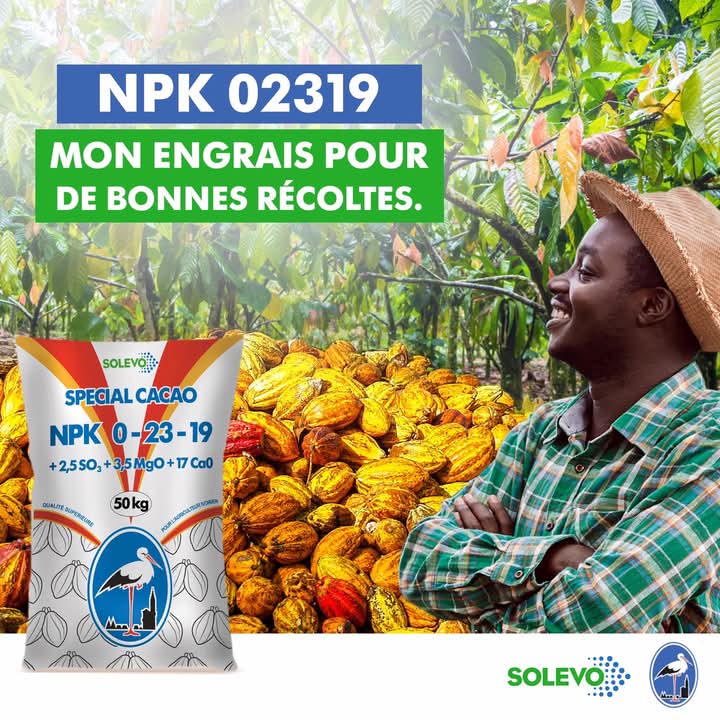 Engrais granulé NPK 0-23-19 50 kg – Spécial cacao