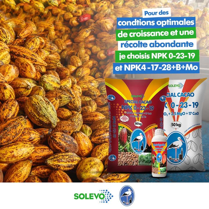 Engrais granulé NPK 0-23-19 50 kg – Spécial cacao