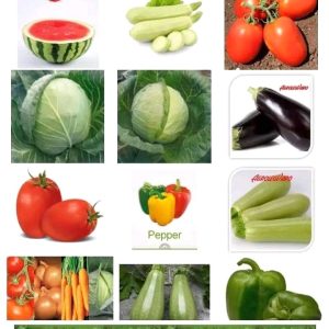 Engrais granulé soluble NPK 32 25 kg – Toutes les cultures